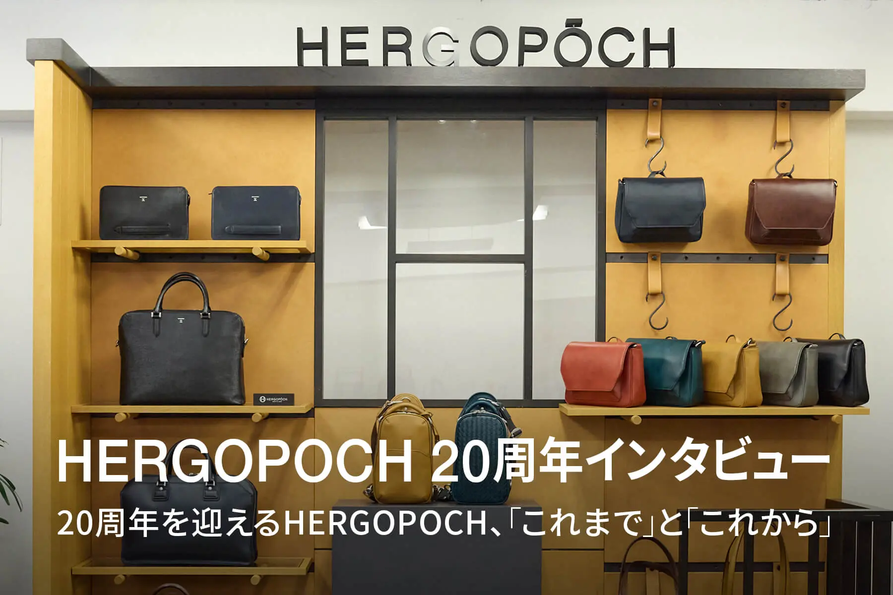 HERGOPOCH 20周年記念インタビュー