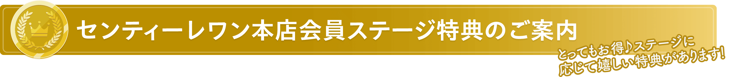 会員ステージについて