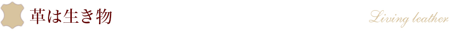 革は生き物