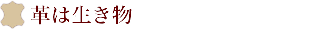 革は生き物