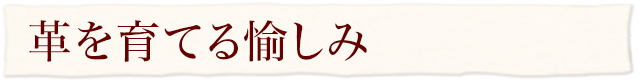 革を育てる愉しみ