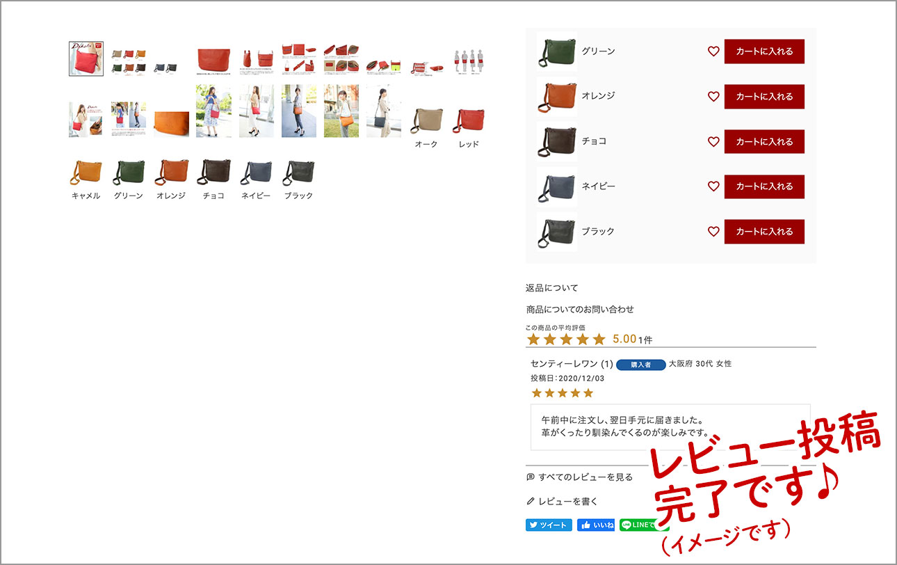 レビュー投稿の手順(4)