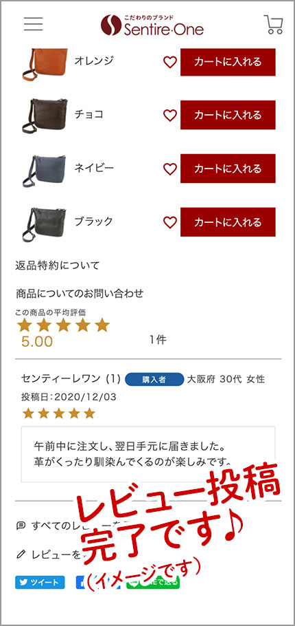 レビュー投稿の手順(4)