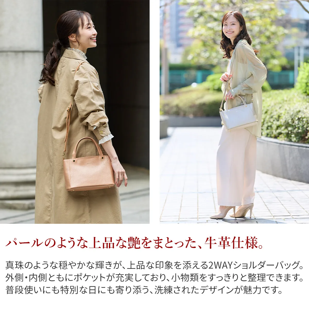 2025-26 Limited Edition ] Dakota ダコタ キューブ Limited Edition