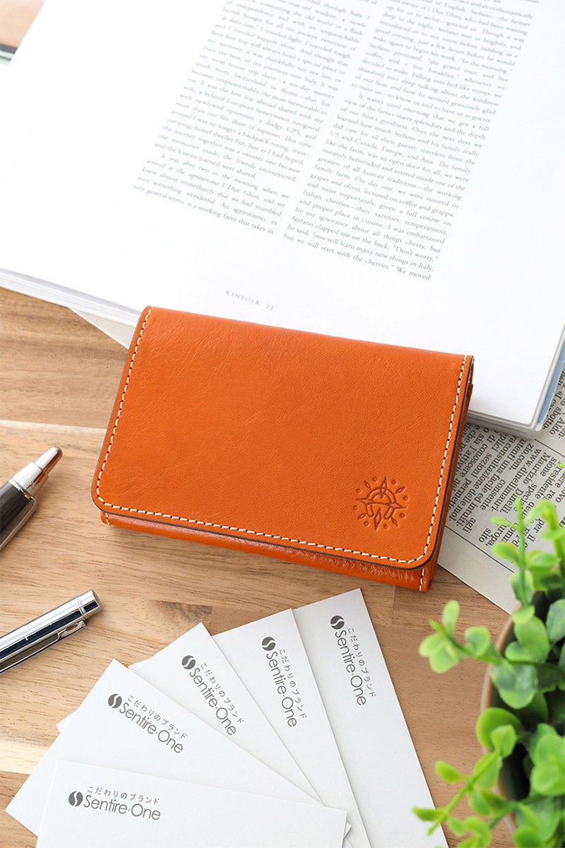 Dakota ダコタ フォンス 名刺入れ 0030558（0035898）