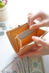 genten ゲンテン cut work カットワーク L字ファスナー 小銭入れ付き二つ折り財布 40601(31621)