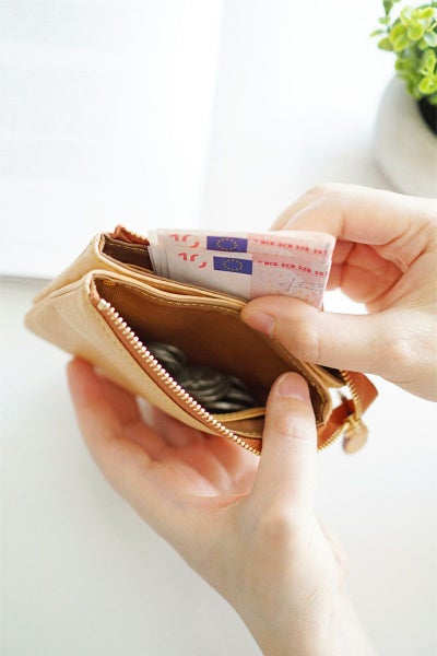 ALBERO アルベロ NATURE（ナチュレ） 小銭入れ付き財布 5379