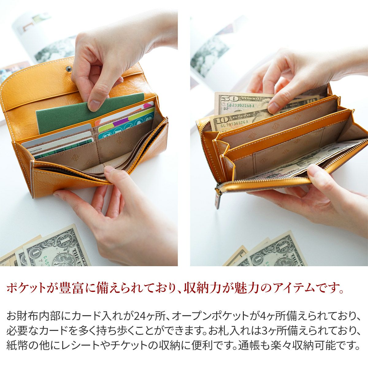 Dakota ダコタ トリコローレ 小銭入れ付き長財布 0030273 | こだわりの