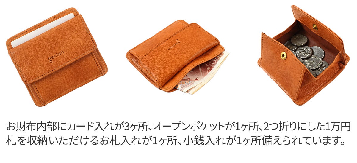 genten ゲンテン GOAT BASIC（ゴートベーシック） フラグメントケース 43264