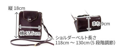 ALBERO アルベロ PIERROT ピエロ ミニ ショルダーバッグ 6445