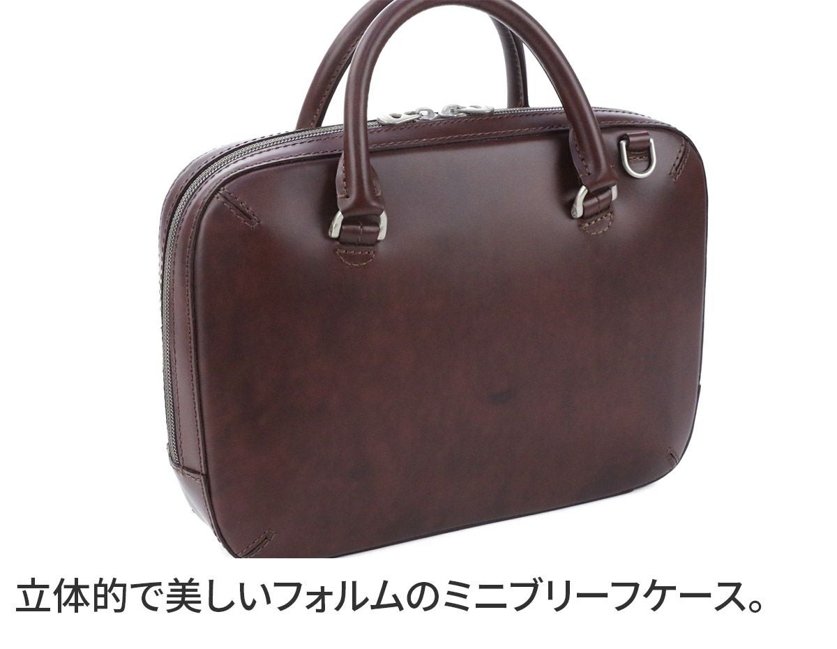 HERGOPOCH エルゴポック 06 Series 06シリーズ ワキシングレザー ミニ