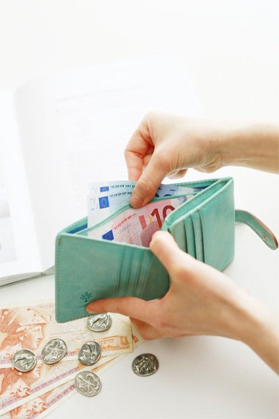 ALBERO アルベロ MONTE BIANCO モンテビアンコ 小銭入れ付き二つ折り財布 250