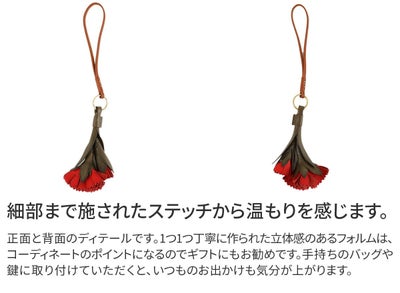 genten ゲンテン エヴァーチャーム カーネーション 43893