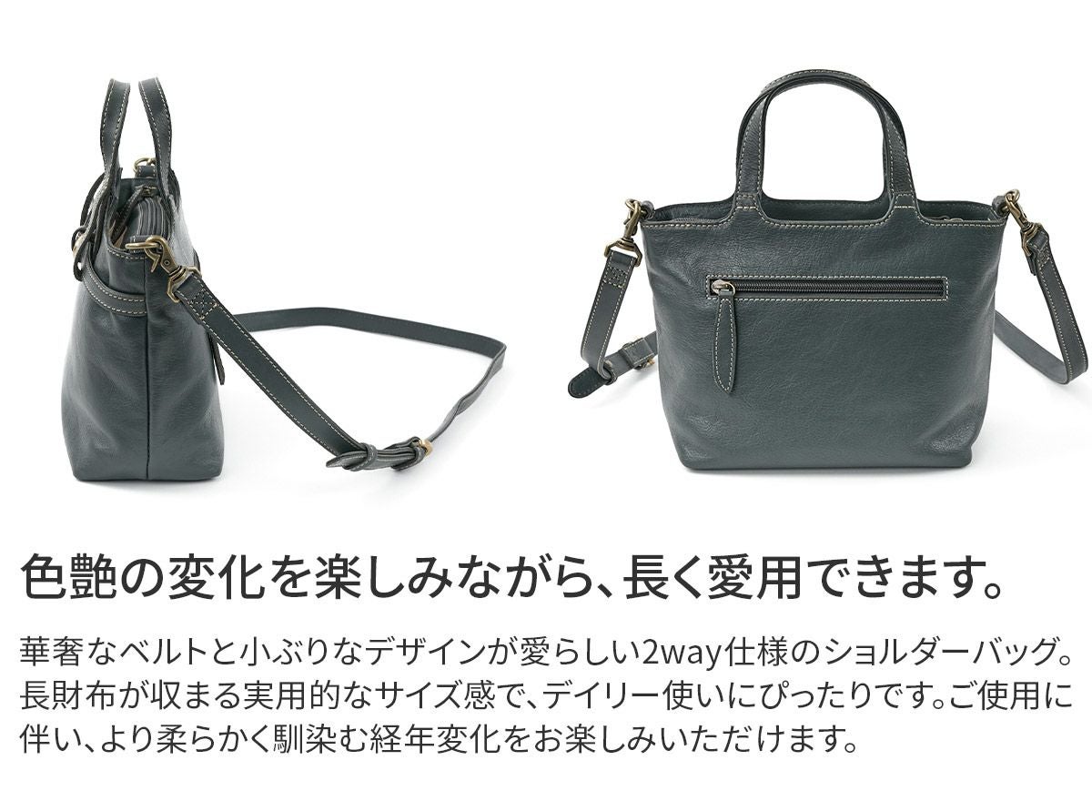 Dakota ダコタ ベヌー 2WAYショルダーバッグ 1034751