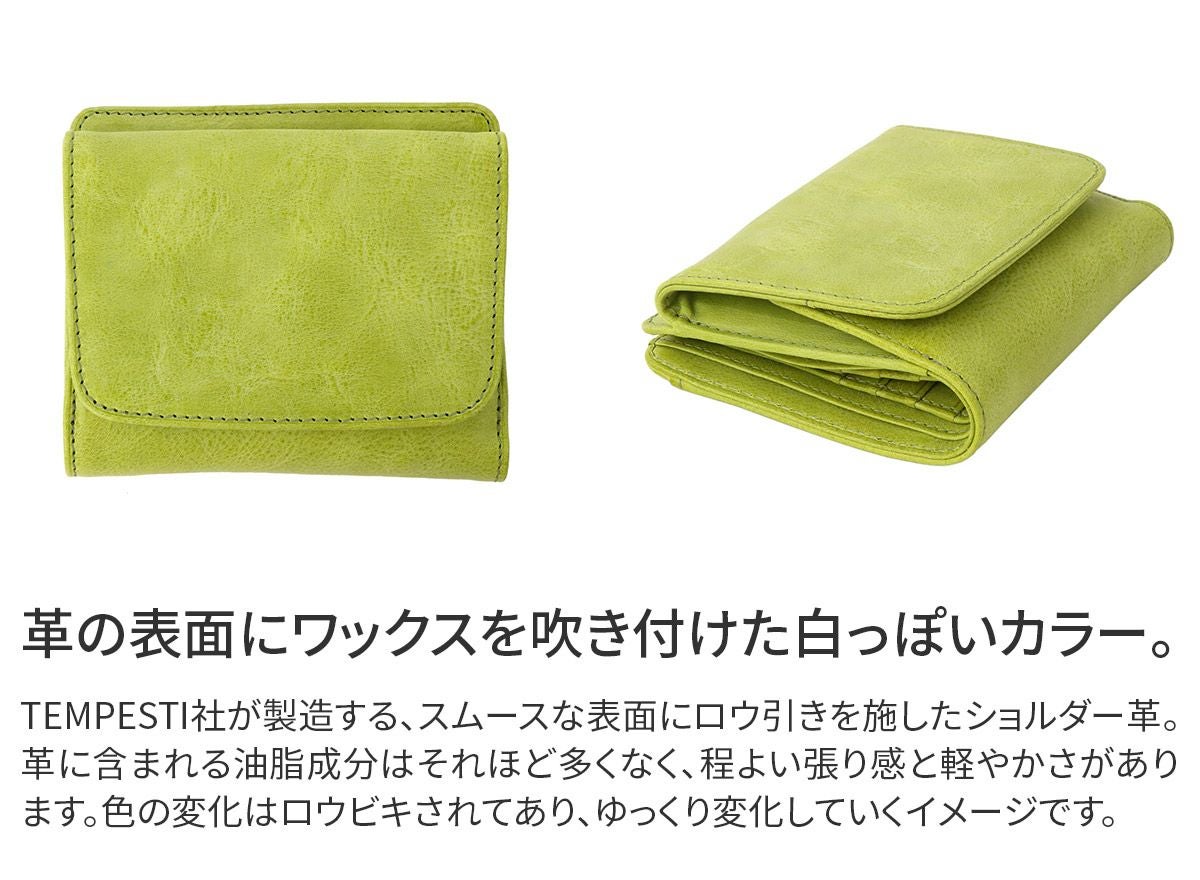 BAGGY'S ANNEX バギーズアネックス FOG leather (フォグレザー) 小銭入れ付き二つ折り財布 LZYS-7008