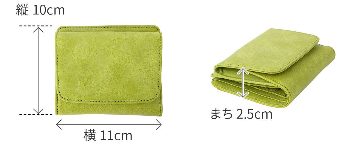 BAGGY'S ANNEX バギーズアネックス FOG leather (フォグレザー) 小銭入れ付き二つ折り財布 LZYS-7008