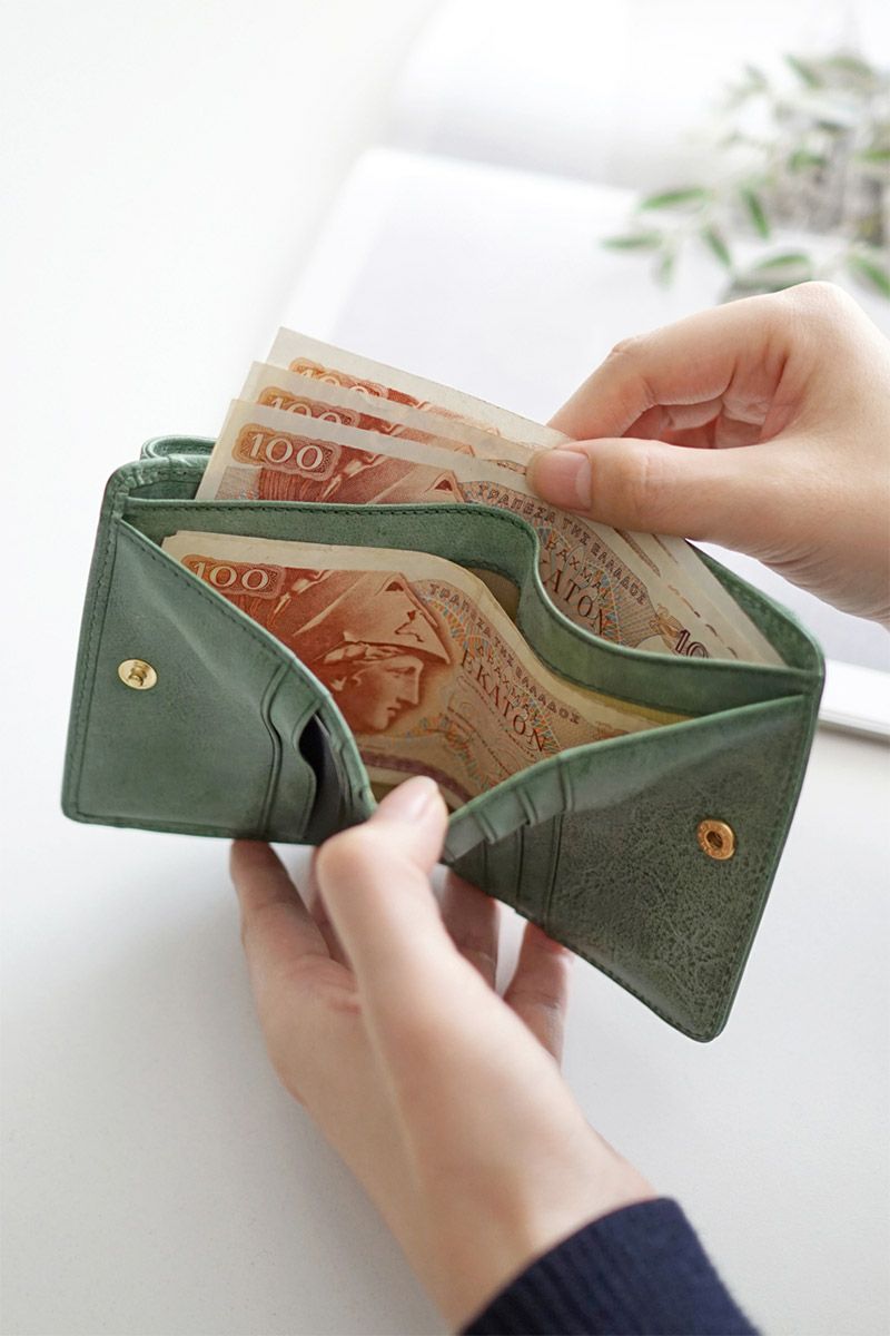 BAGGY'S ANNEX バギーズアネックス FOG leather (フォグレザー) 小銭入れ付き二つ折り財布 LZYS-7008