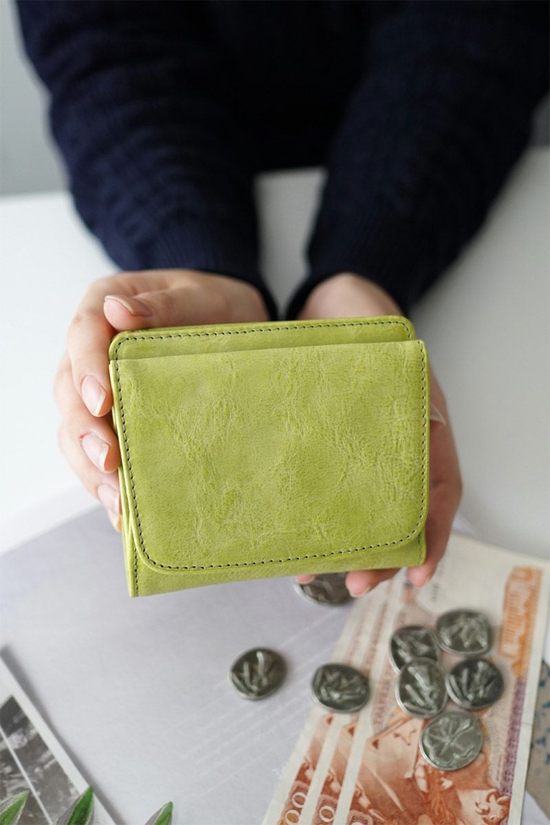 BAGGY'S ANNEX バギーズアネックス FOG leather (フォグレザー) 小銭入れ付き二つ折り財布 LZYS-7008