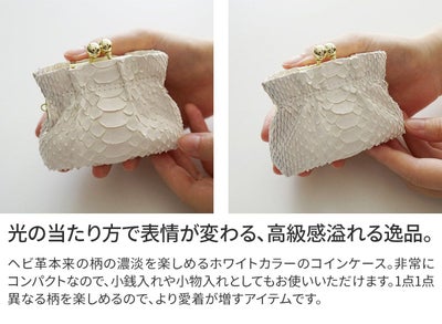 VIA DOAN ヴィア ドアン Bran python ブランパイソン コインケース 456