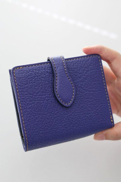 ALBERO アルベロ Capretta カプレッタ 小銭入れ付き二つ折り財布 8602