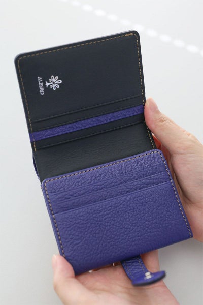 ALBERO アルベロ Capretta カプレッタ 小銭入れ付き二つ折り財布 8602