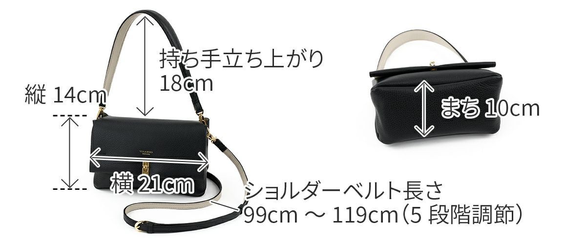 VIOLAd'ORO ヴィオラドーロ TRERO トレロ Wフェイス ワンショルダーバッグ V-1599