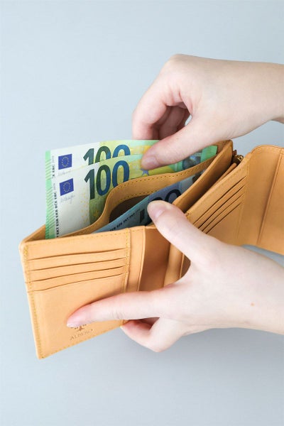 ALBERO アルベロ NATURE ナチュレ 小銭入れ付き二つ折り財布 5416