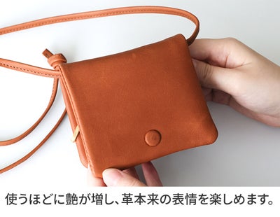 TIDEWAY タイドウェイ 財布 NUTS WALLET SHOULDER T3148